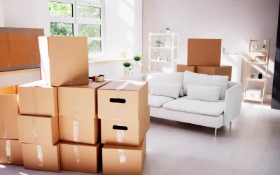 Professioneller Transport für Ihren Firmenumzug – Effizient, Sicher und Zuverlässig 18 Professioneller Transport fuer Ihren Firmenumzug – Effizient Sicher und Zuverlaessig