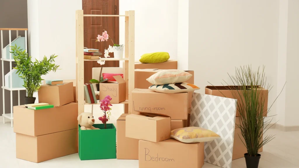 Professionelle Offertenanfrage in Bluemliquartier