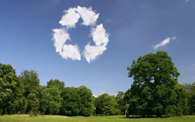 Räumung von Häusern und Wohnungen: Rekompetitive Lösungen für Etzikon 5 ("Räumung von Häusern und Wohnungen")