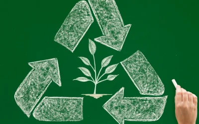 Sperrmuellentsorgung