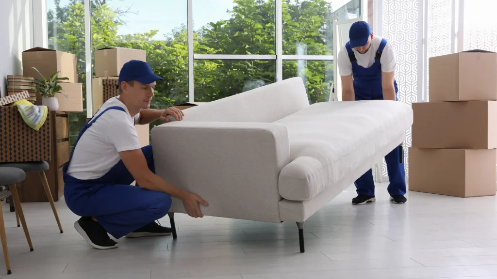 Effiziente Umzugsloesungen in Thalwil