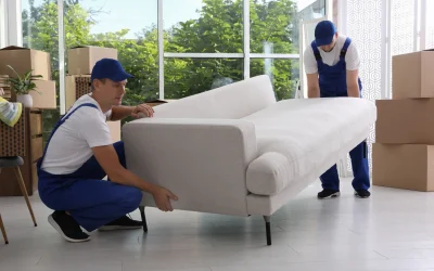 Transportunternehmen in Thalwil: Ihr starker Partner fuer stressfreien Umzug 7 Effiziente Umzugsloesungen in Thalwil