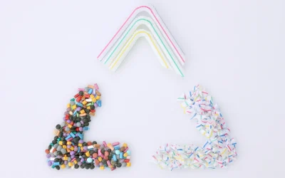 Umzugsreinigung in Waldburg: Ihr Sauberer Start in die Zukunft 17 Umzugsreinigung