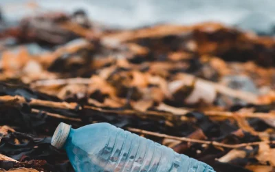 Umzugsreinigung in Waldburg: Ihr Sauberer Start in die Zukunft 16 Umzugsreinigung