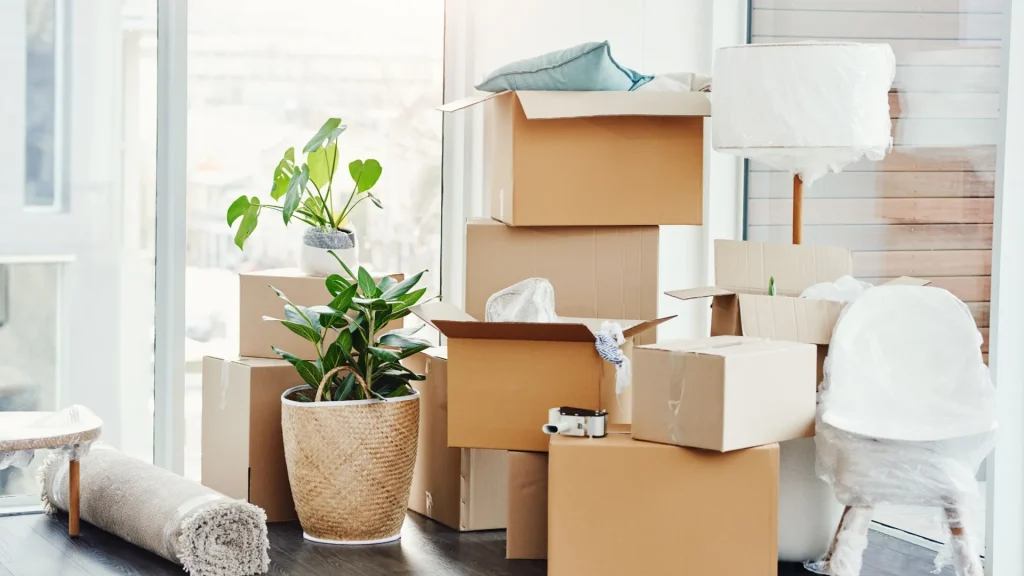 Wohnungsumzug Zürich: Exklusiver Service für stressfreien Umzug in Wildensbuch 3 ("Wohnungsumzug Zürich")