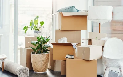 Wohnungsumzug Zürich: Exklusiver Service für stressfreien Umzug in Wildensbuch 12 ("Wohnungsumzug Zürich")